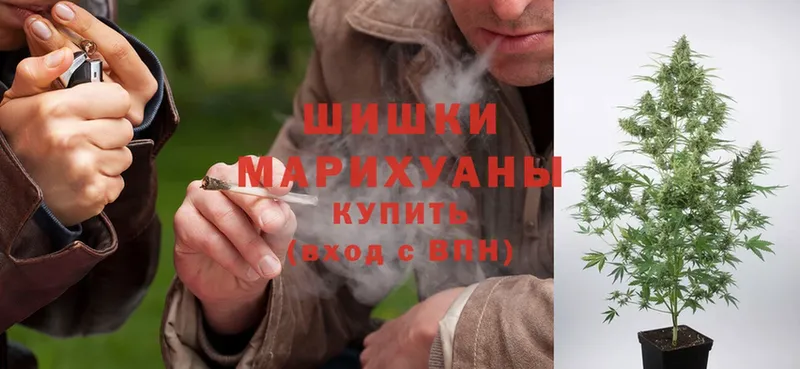 как найти закладки  Высоковск  Бошки Шишки SATIVA & INDICA 